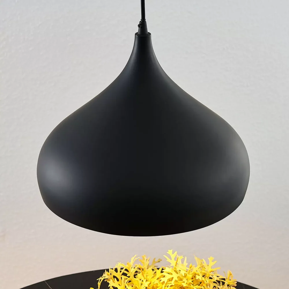 Black Pendant Lamp, Celling Lights - Image 4